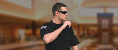 Events & Personal Security Service